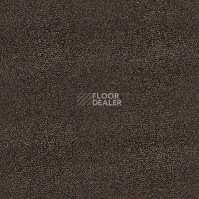 Ковровая плитка Interface Biosfera Boucle 7880 Travestino Noce фото 1 | FLOORDEALER